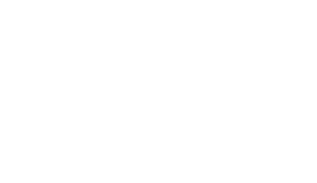 {title}